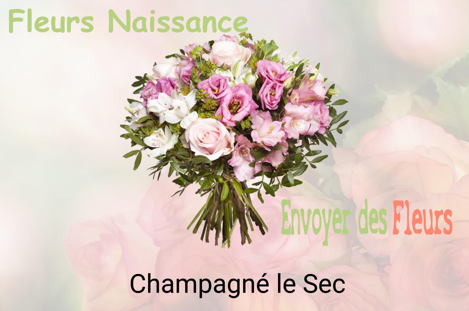 Bouquet de fleurs de naissance livré à Champagné-le-Sec